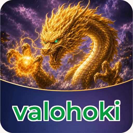 Logo valohoki